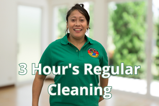 3 Hour's Regular Cleaning
